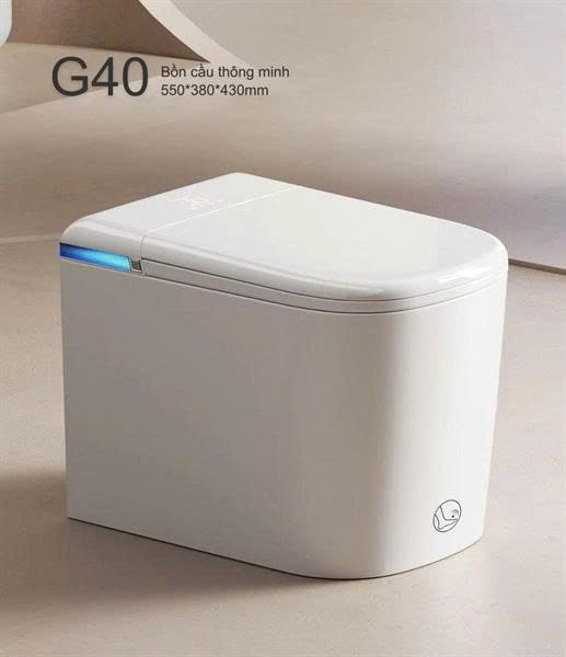 Bồn cầu thông minh G40